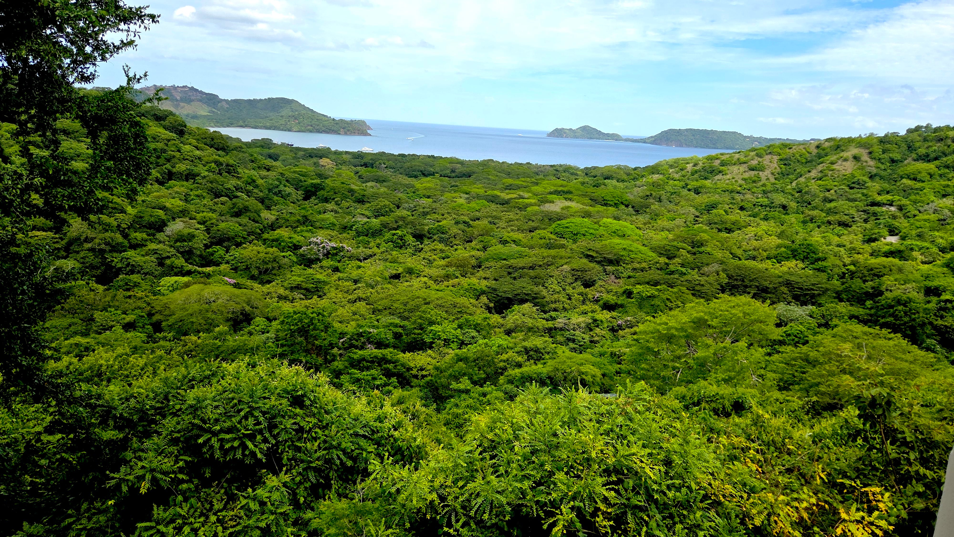Vista de zona boscosa en el sector de Playa Panamá en el Golfo de Papagayo en Liberia, Guanacaste. Fotografía: