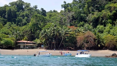Temas de política ambiental que el próximo gobierno no puede evadir