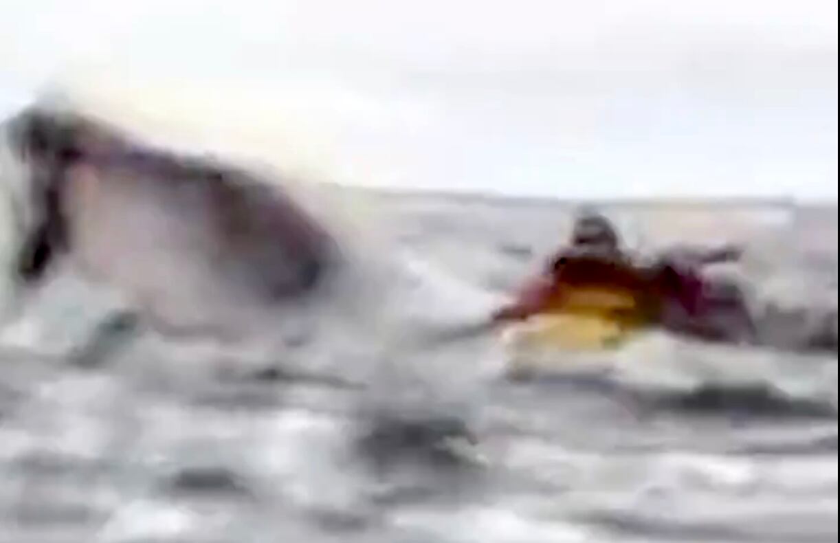 El joven de 20 años fue tragado por una ballena jorobada mientras hacía packrafting junto a su padre en la Bahía Águila en Punta Arenas, región de Magallanes. Fotografía: