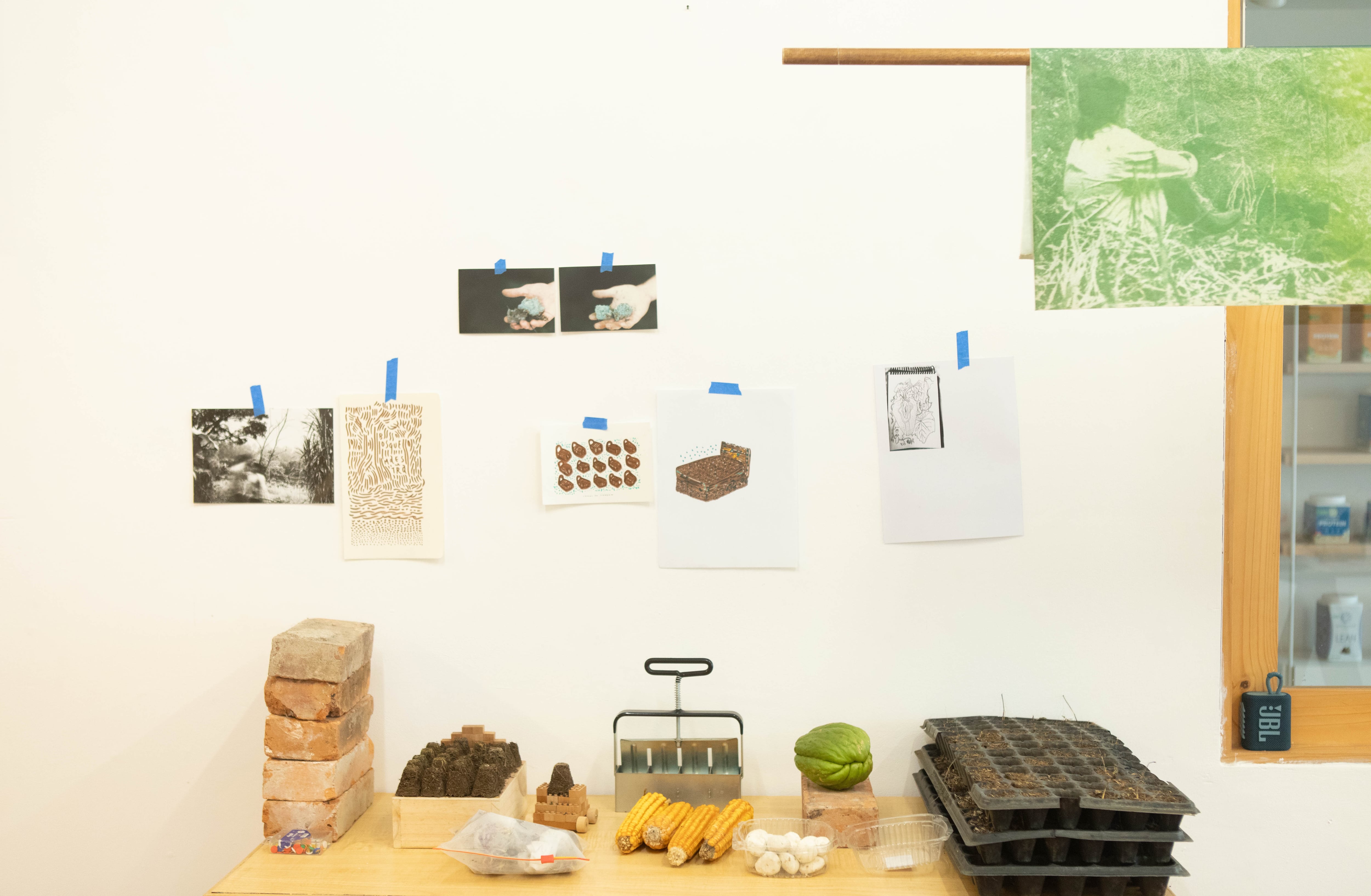 Objetos, semillas, productos y herramientas de Mariela Richmond exhibidos en Satisfactory como parte de su investigación.