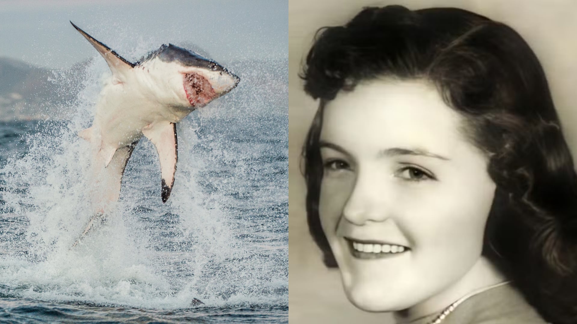 Un ataque de tiburón blanco en Australia volvió a viralizarse. El hecho ocurrió en 1985 y dejó una profunda huella en la comunidad costera.