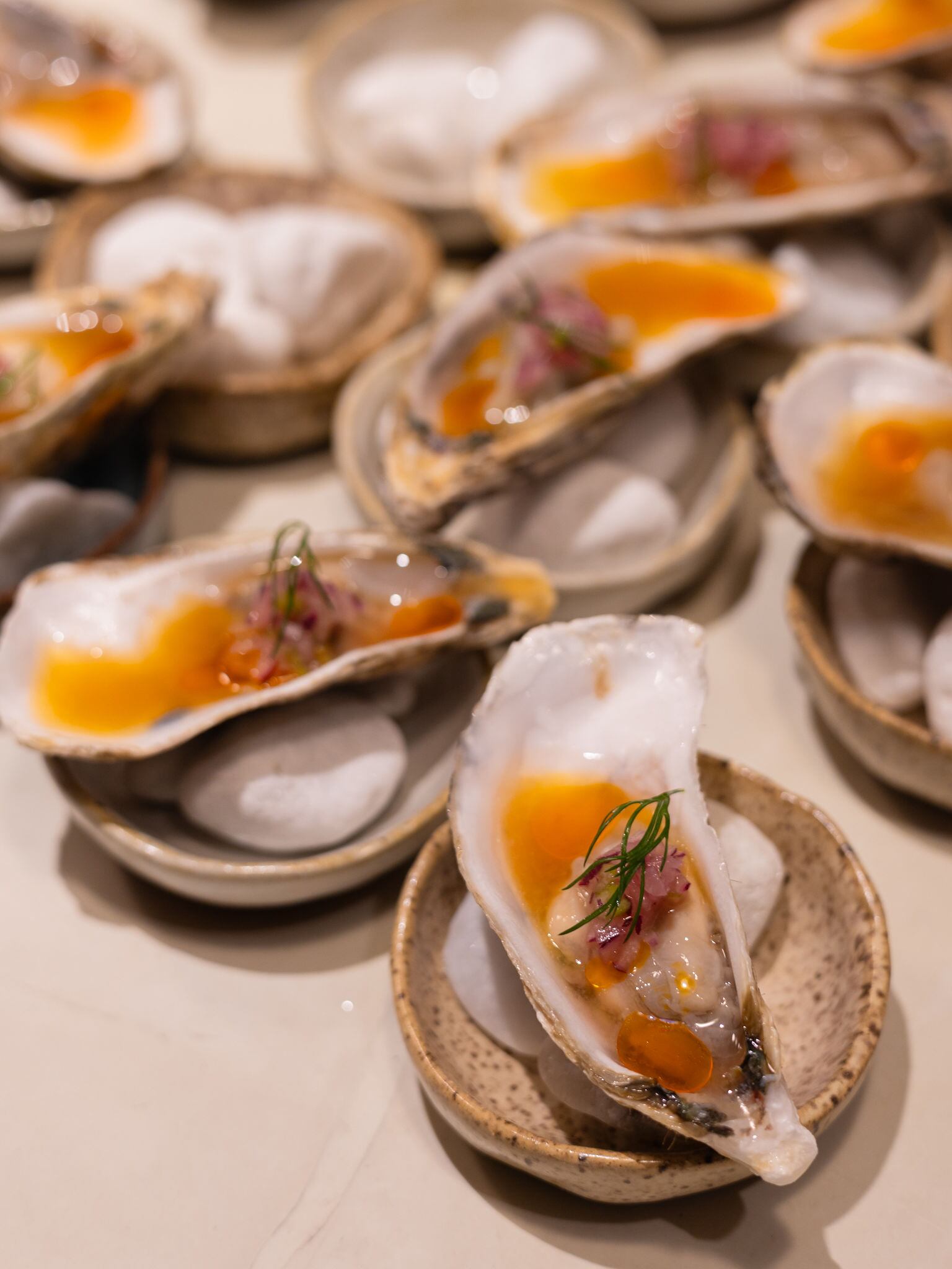 Ostras del Golfo de Nicoya bañadas con mantequilla cítrica.