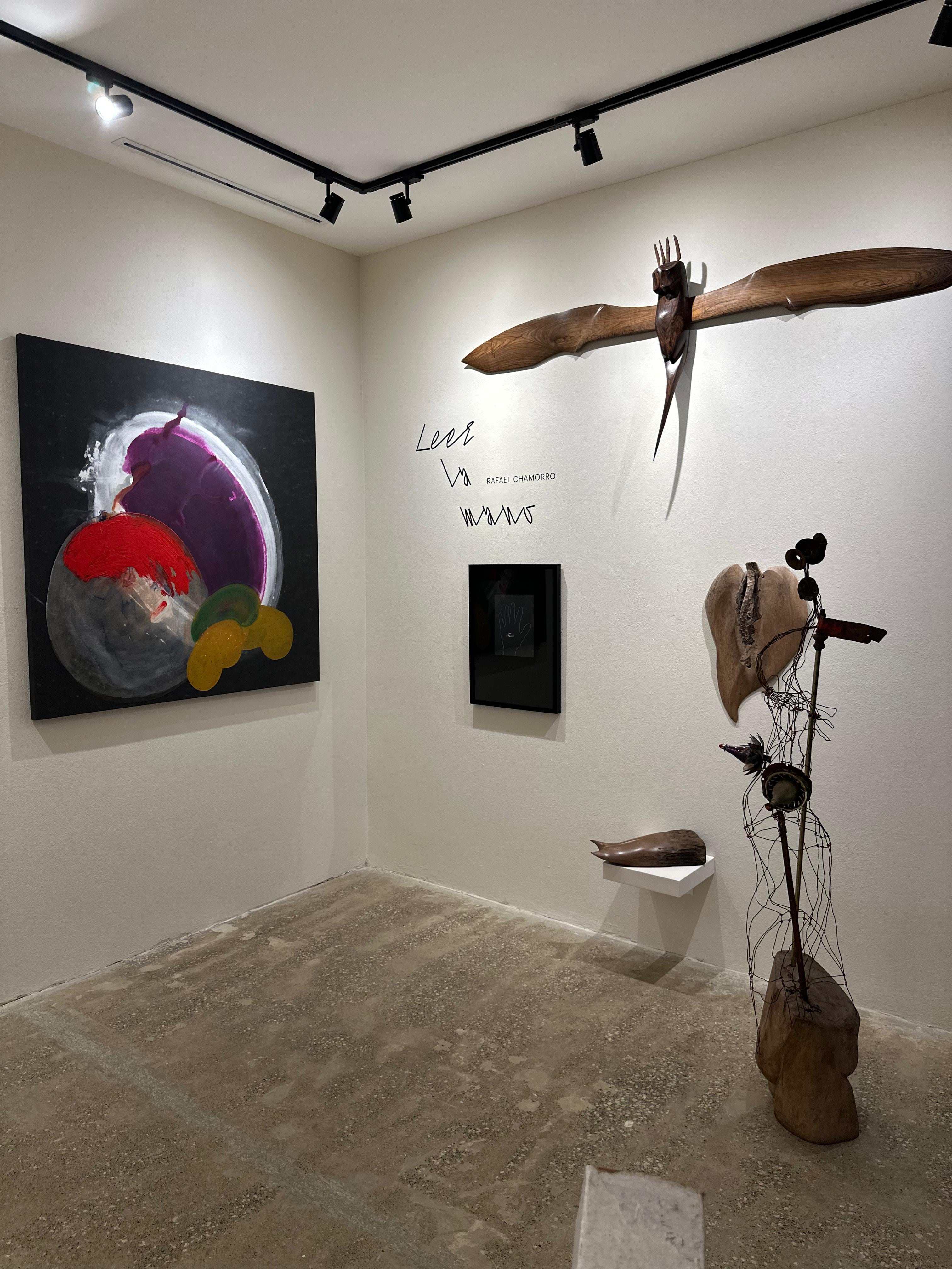 La exposición de Rafael Chamorro en deCERCA Nosara está abierta hasta julio del 2025.