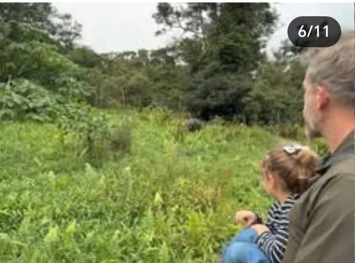 Imagen de Yaron Varsano, esposo de Gal Gadot, acompañado por una de sus hijas mientras ven a lo lejos lo que parece ser una danta en Costa Rica.