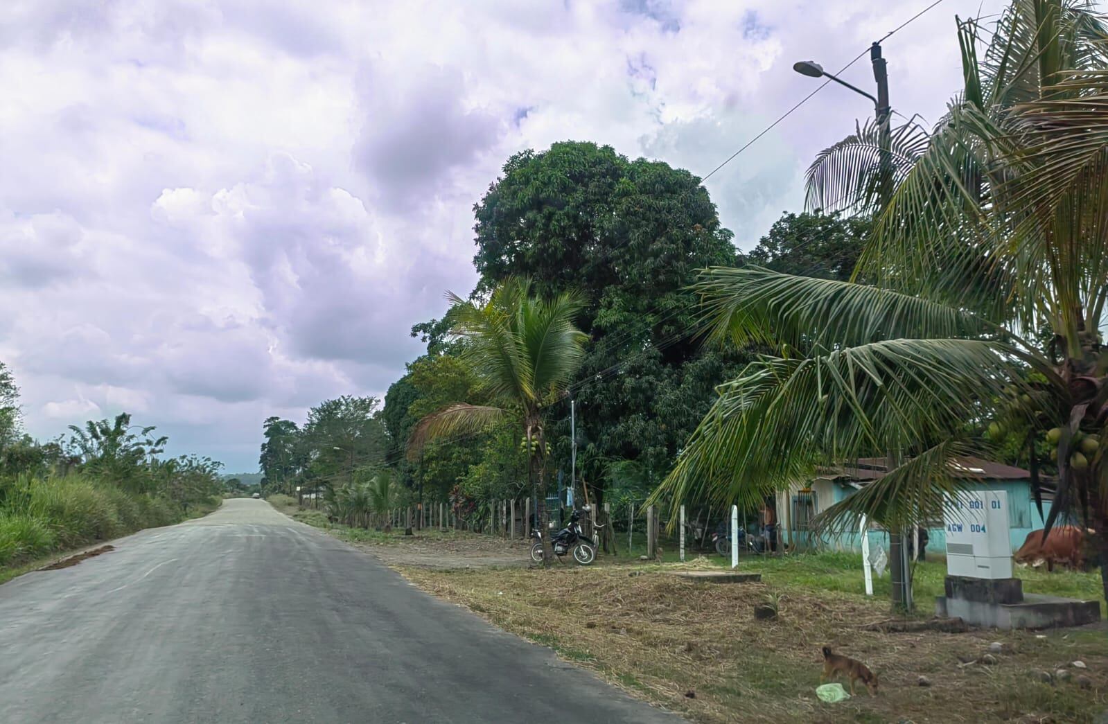 Este doble homicidio ocurrió en Birmania de Siquirres. El cantón acumula tres crímenes de este tipo en lo que llevamos del año.
