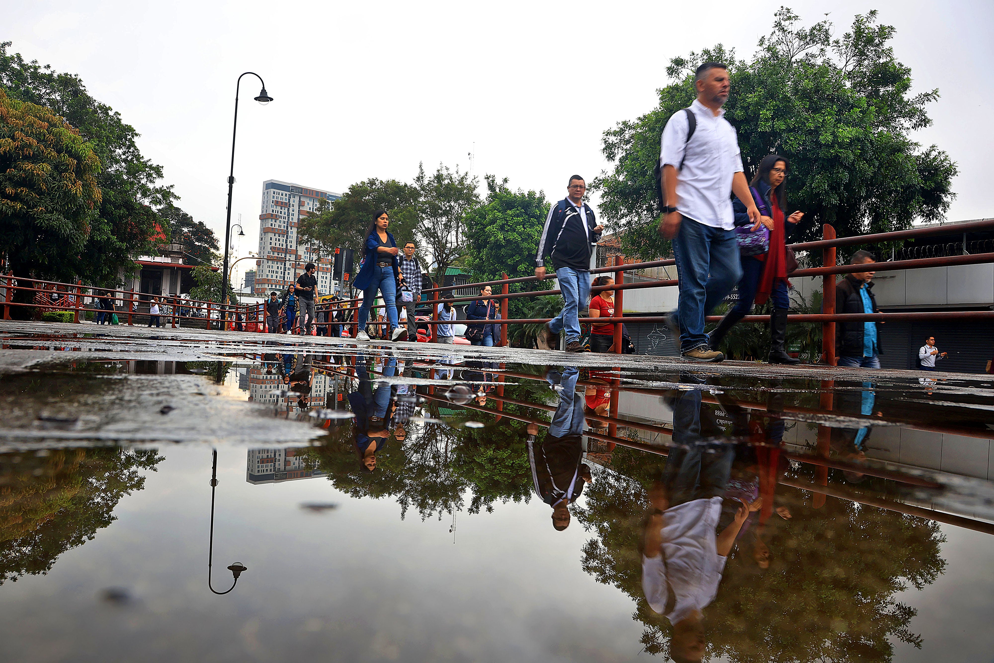 Agua empozada, después de la lluvia. Foto: Rafael Pacheco Granados