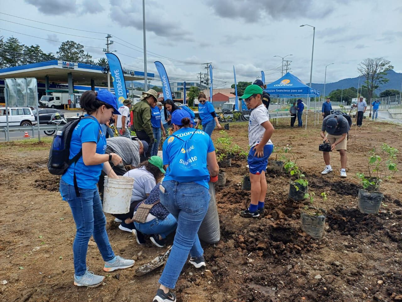 Primer 'bosque compasivo' crece en la intersección de La Galera, entre La Unión y Curridabat.