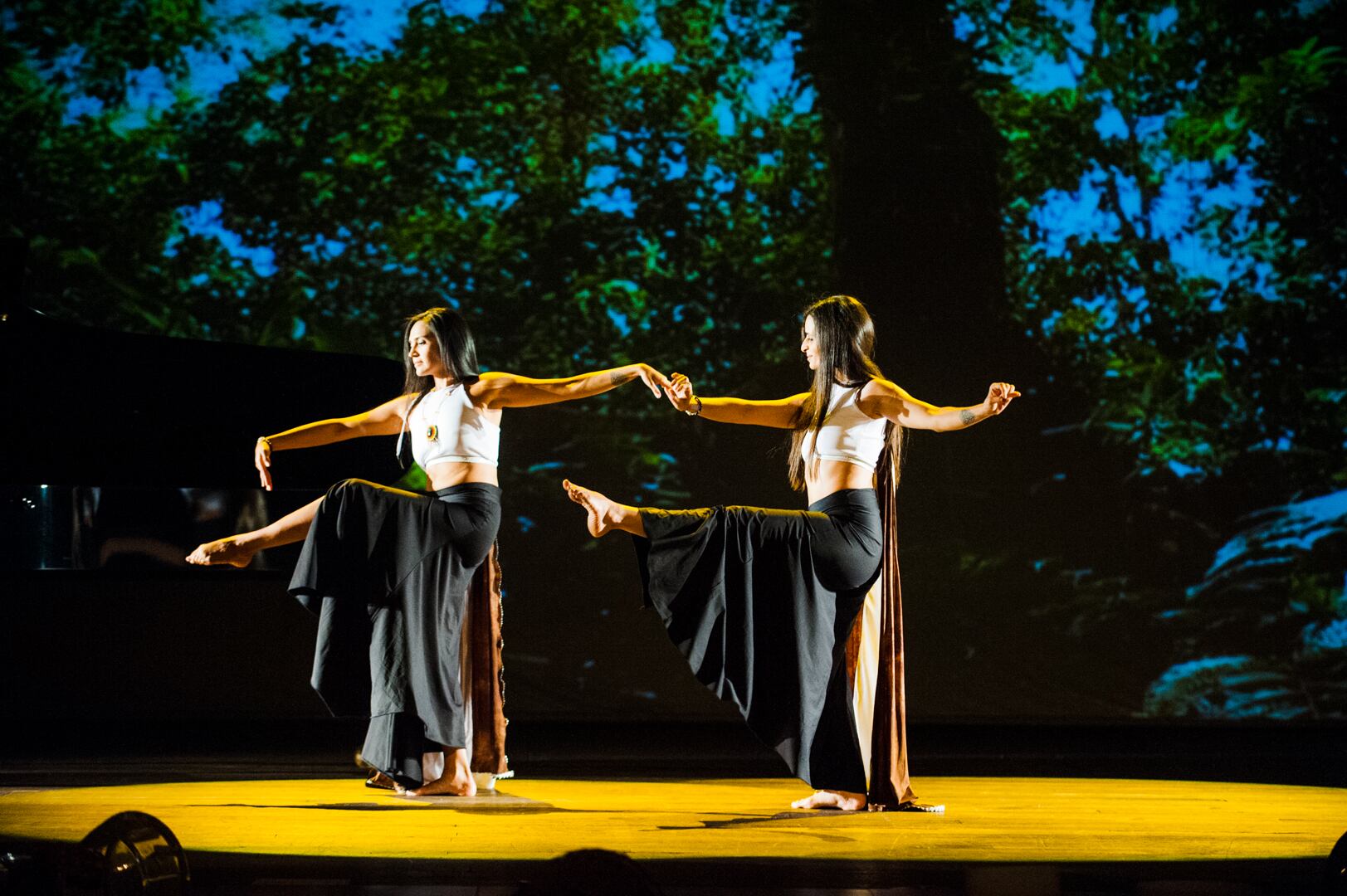 Los amantes de la danza no se pueden perder este evento que contará con grandes talentos.