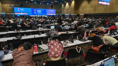 COP16 concluye sin consenso en fondos para salvar la biodiversidad
