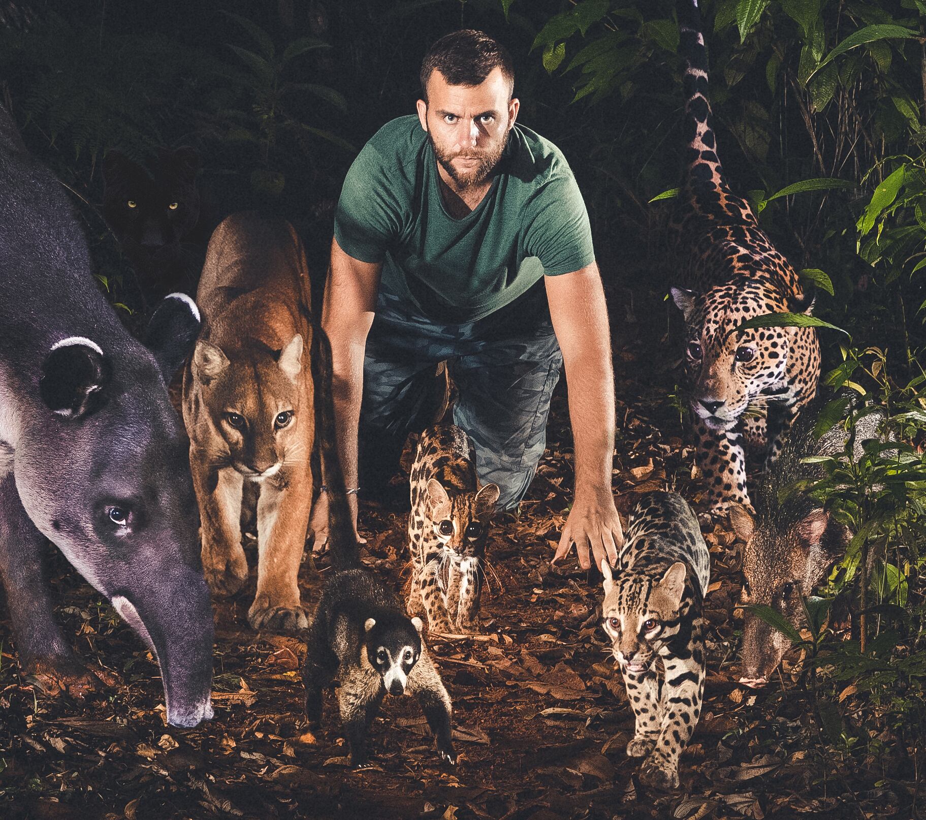 Montaje de Tico Haroutiounian con las especies de animales que pisaron el mismo lugar.