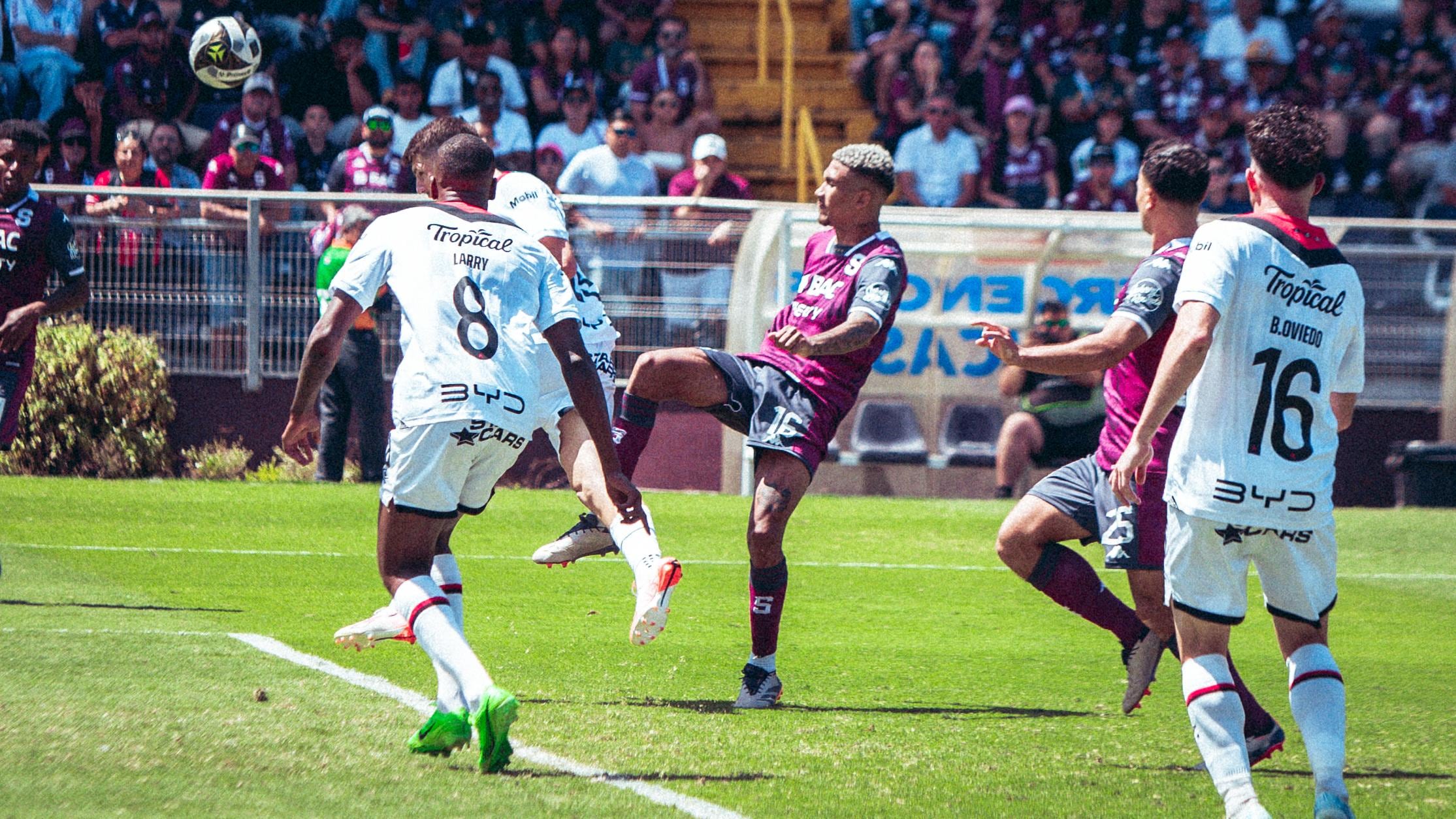 Acción de Eduardo Anderson contra Alberto Toril.