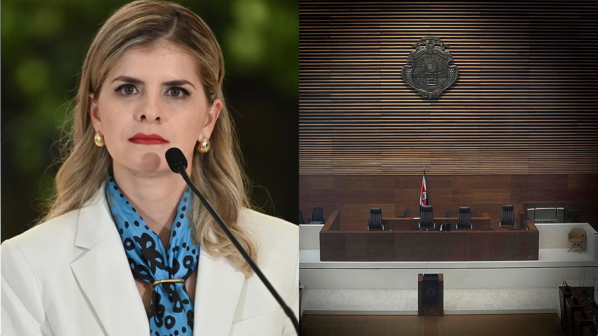 Laura Fernández- Asamblea Legislativa