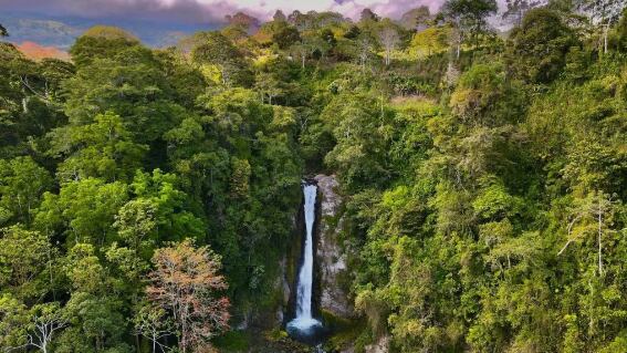 Disfrute de esta hermosa catarata. (Foto: Vamos a turistear).
