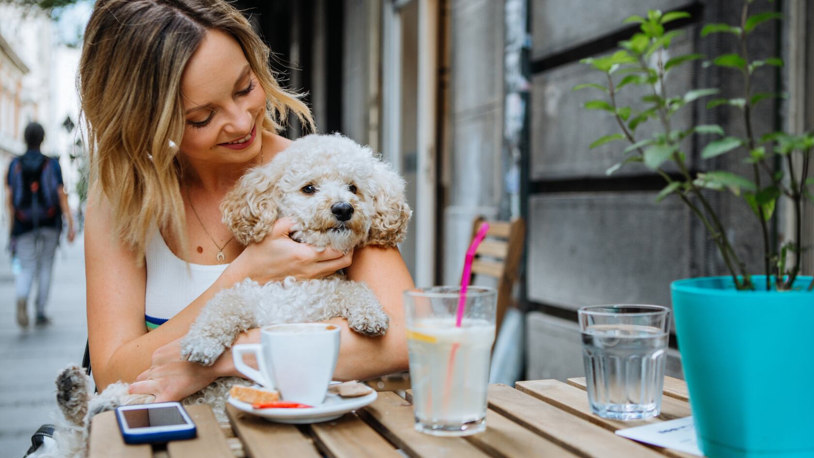 Colegio de Veterinarios advierte que locales pet friendly deben aplicar protocolos de control, seguridad y seguros para proteger a todos.