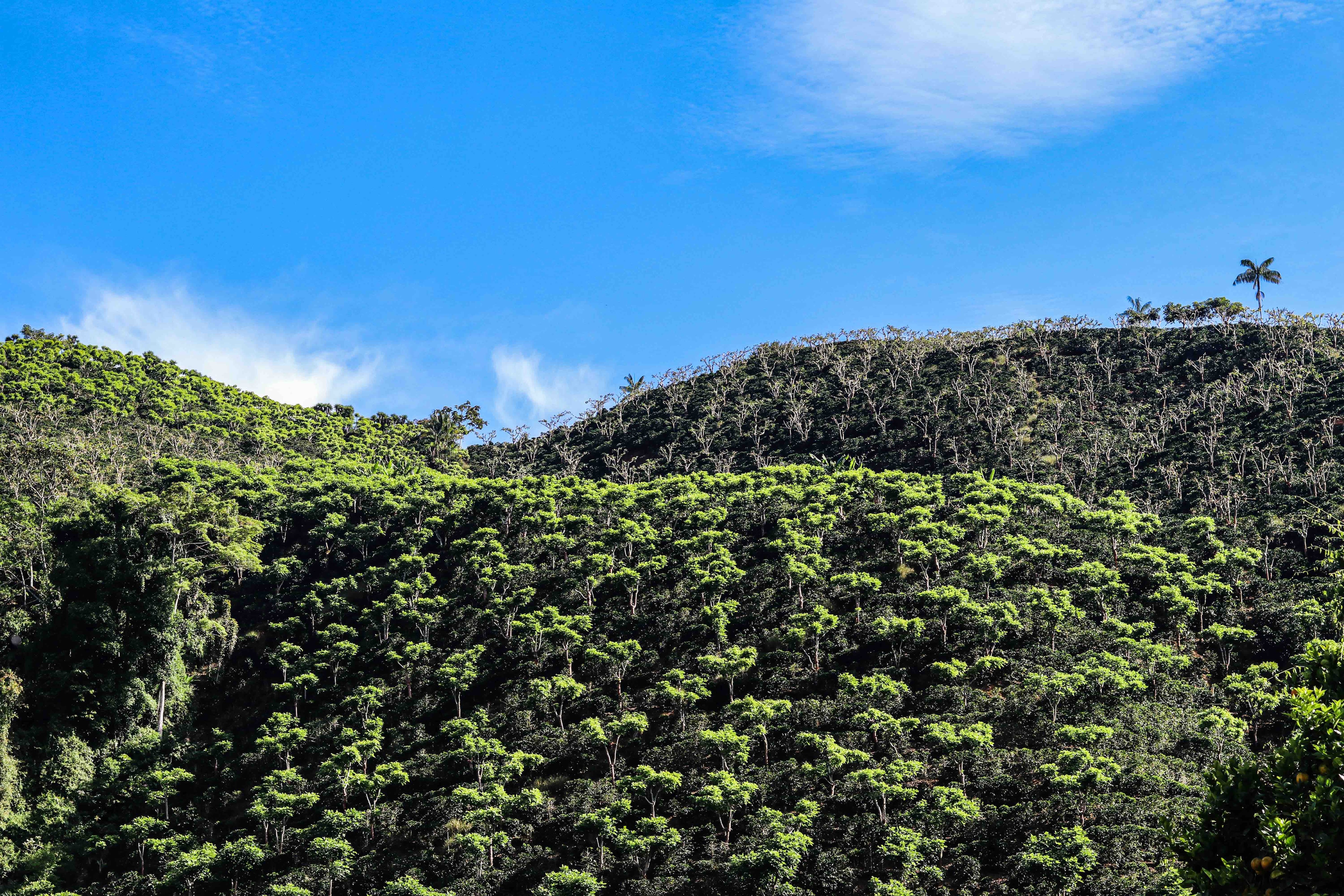 Scotiabank programas de responsabilidad social