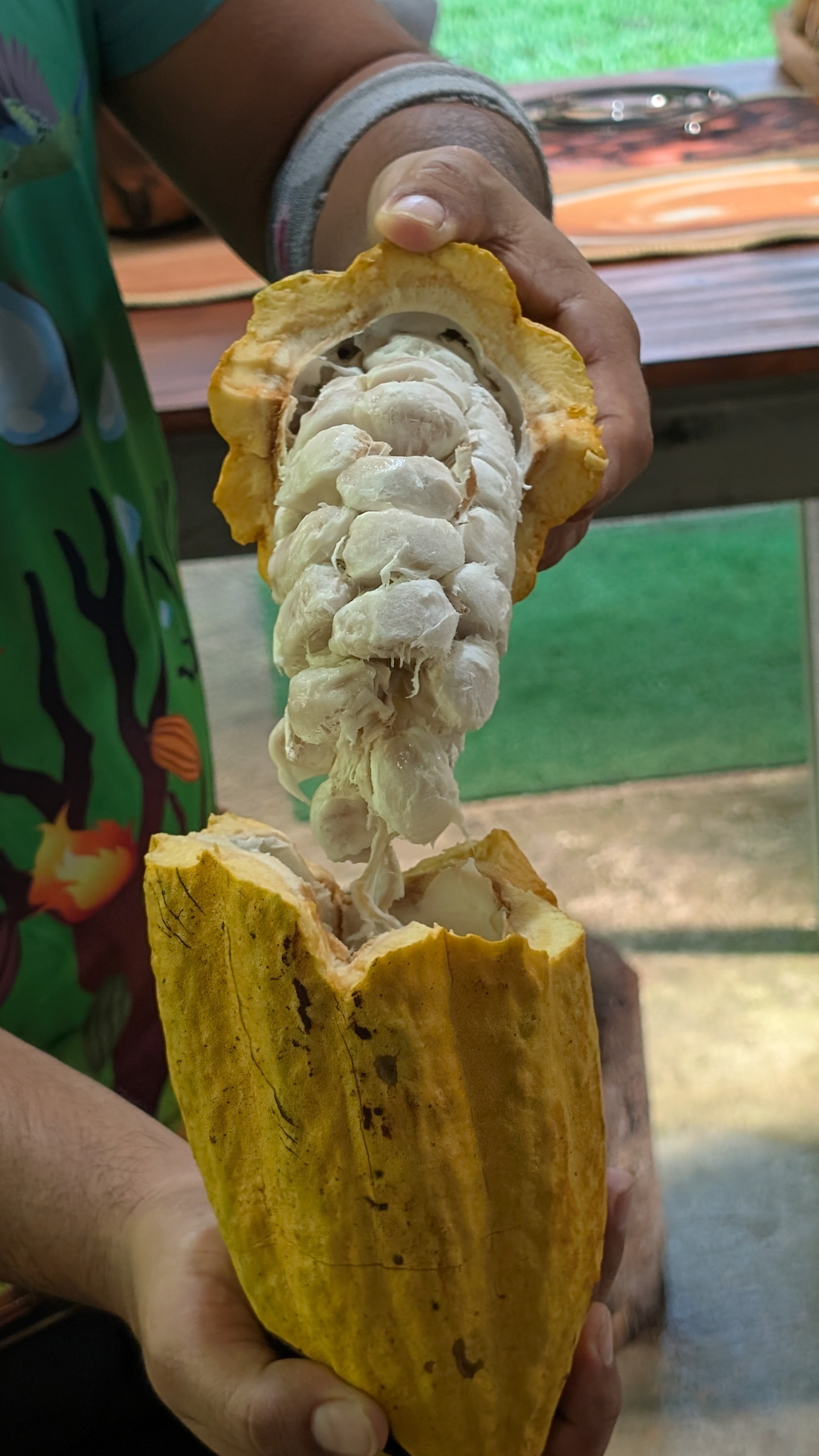 ¿Qué diferencia al chocolate del cacao? ¿Qué diferencia a un chocolate de 70% de pureza, de uno de 90% de pureza? ¿Qué diferencia hace que en ese 30% restantes se agregue leche? ¿Qué diferencia hace el método de tostado? Todos estos factores influyen no solo en el sabor del producto, sino en el impacto que este tendrá en su salud.