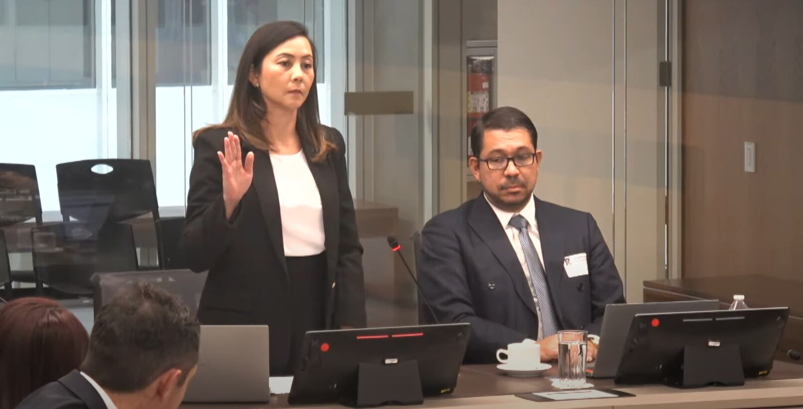 Ying Leng Hong en Comisión Legislativa