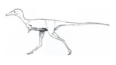Nuevo fósil argentino obliga a reescribir la historia de un extraño linaje de dinosaurios