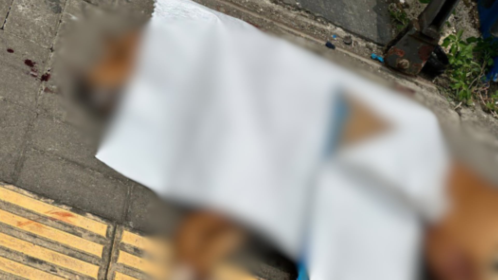 Muerte de perro San Ramón