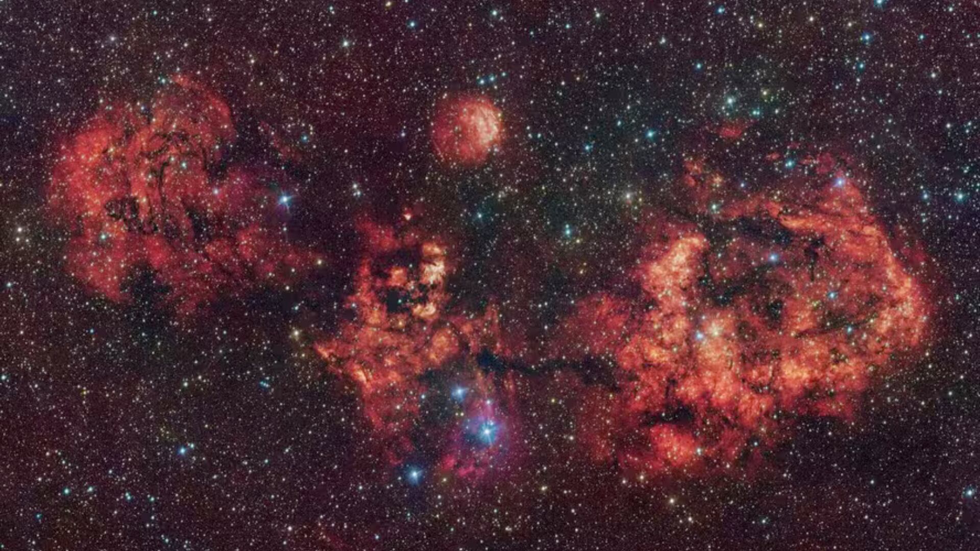 Astrónomos captaron una nebulosa con forma de murciélago a 10.000 años luz en una región donde se están formando nuevas estrellas.