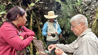 Rubén Darío y la malaquita: cuando la piedra no es materia geológica, sino poética