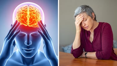 Neurocientífica canadiense alerta sobre el impacto del estrés crónico en el cerebro y el rendimiento laboral