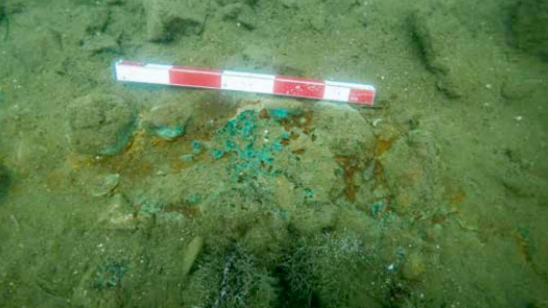 El hallazgo en Turquía confirma una mina subacuática relatada por Aristóteles y vinculada al arte y la medicina antigua.