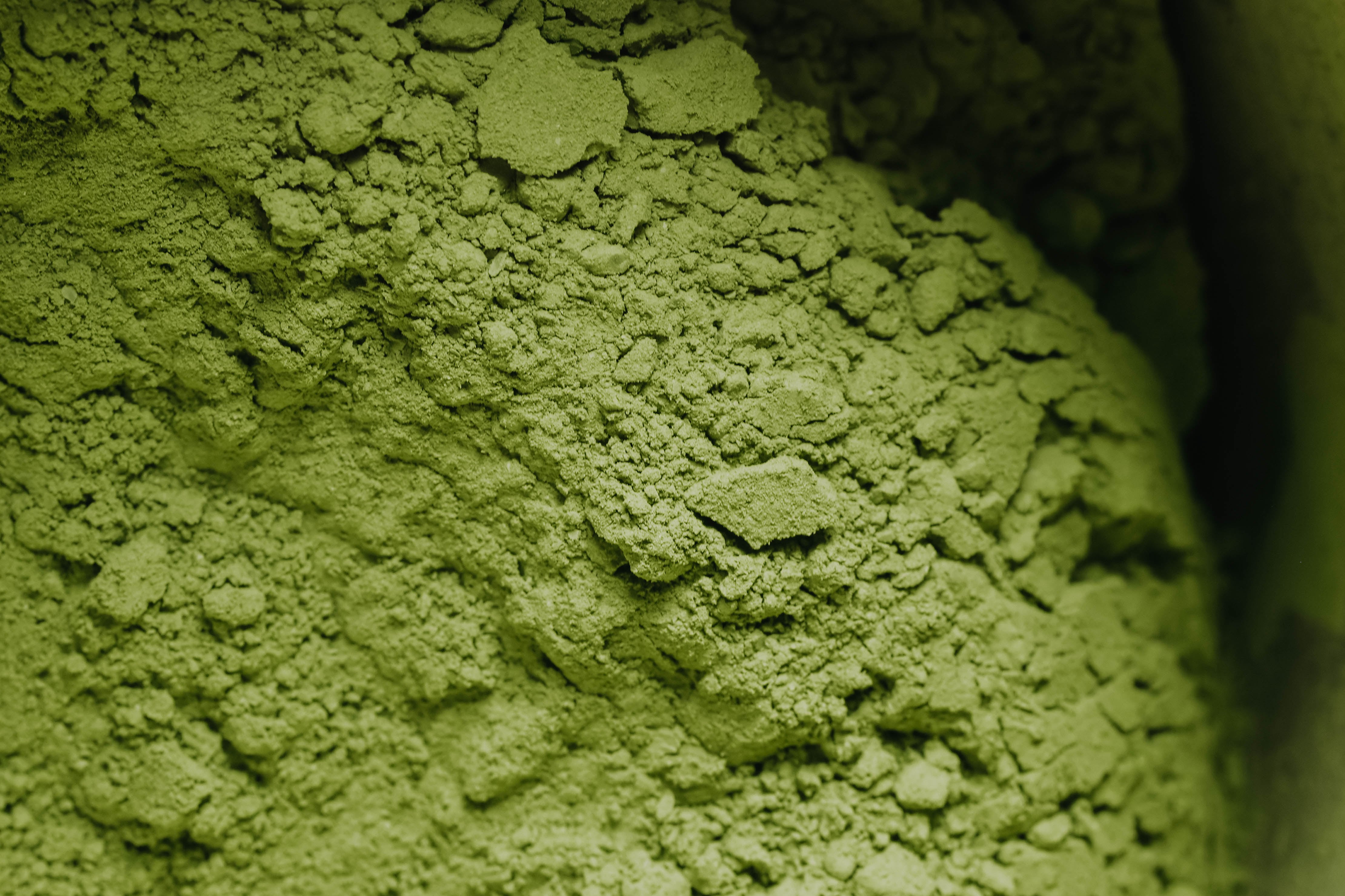 Imágenes alusivas al negocio de matcha, como el polvo, el proceso y los dueños de WatchaMatcha