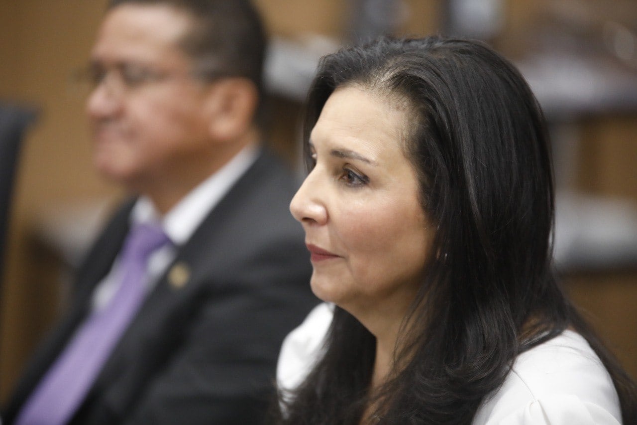 Dictamen tren rápido de pasajeros