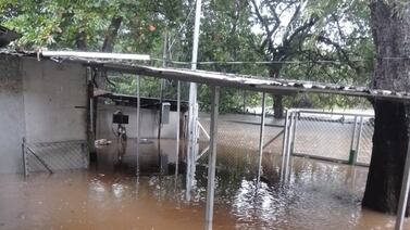 Lluvias dañaron 354 centros educativos