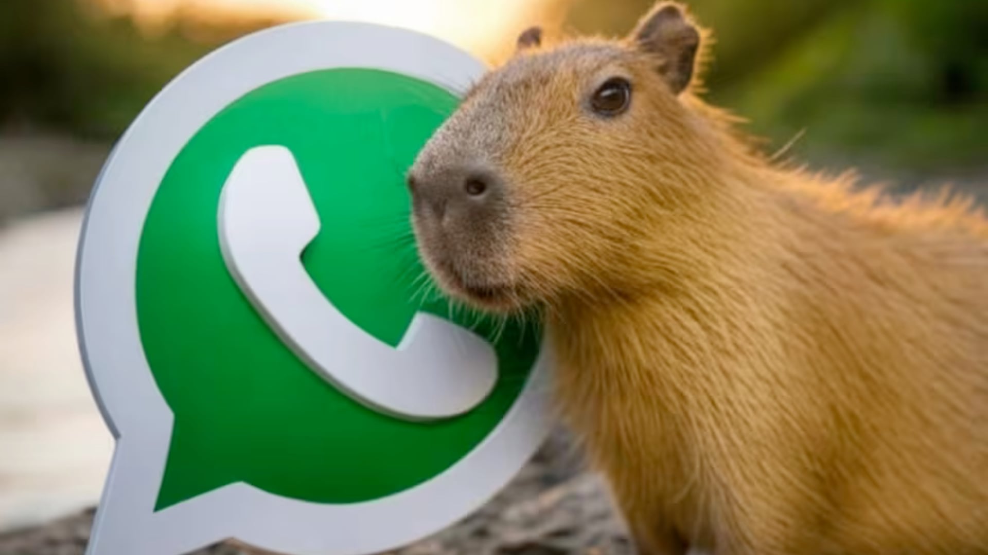 El “Modo Capibara” permite cambiar el ícono de WhatsApp. La función no es oficial y necesita aplicaciones externas para activarse