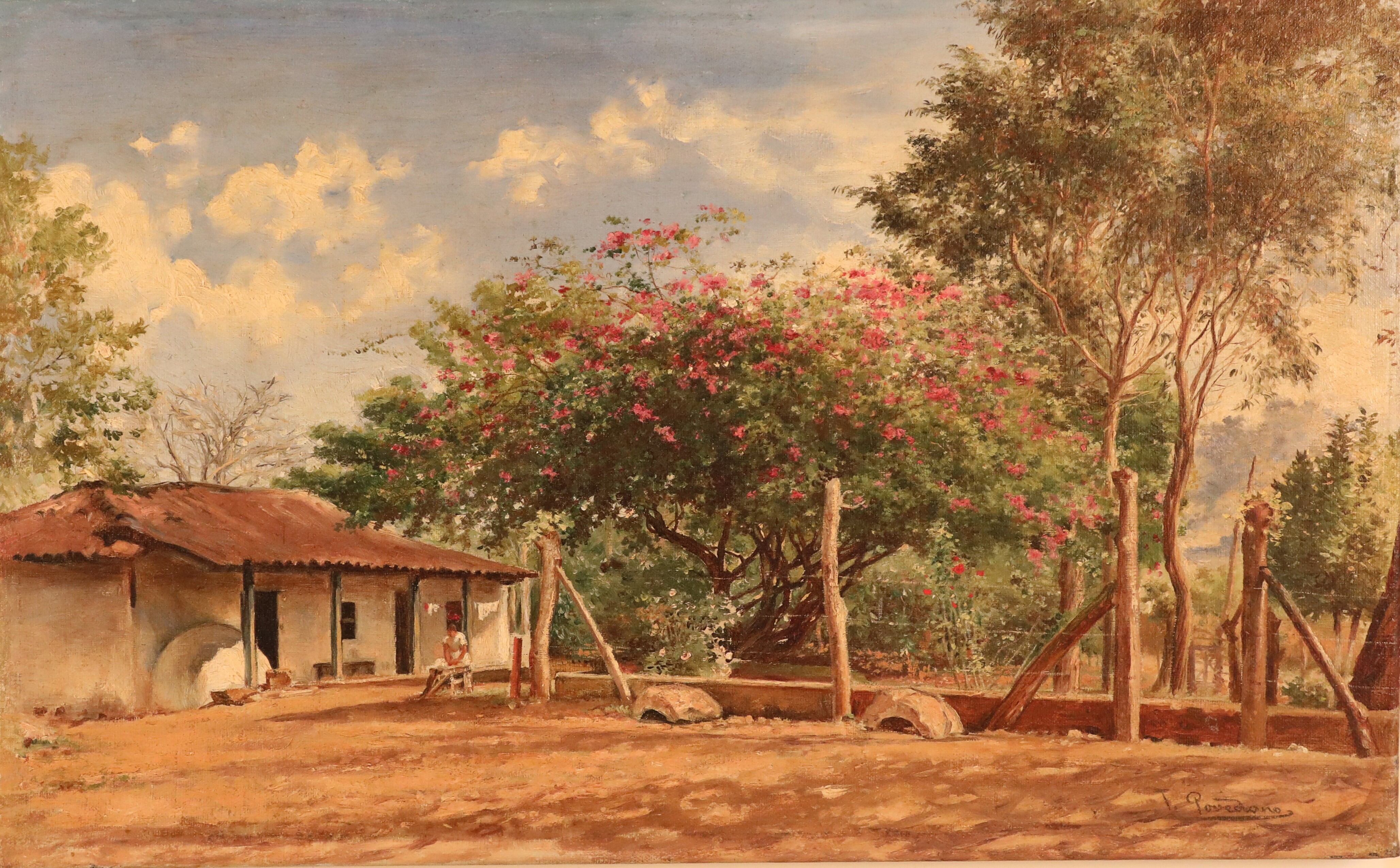 Esta pintura se titula 'Bougainvillea', de Tomás Povedano. Es un óleo sobre tela sin fecha, que forma parte de la colección del Museo de Arte Costarricense.