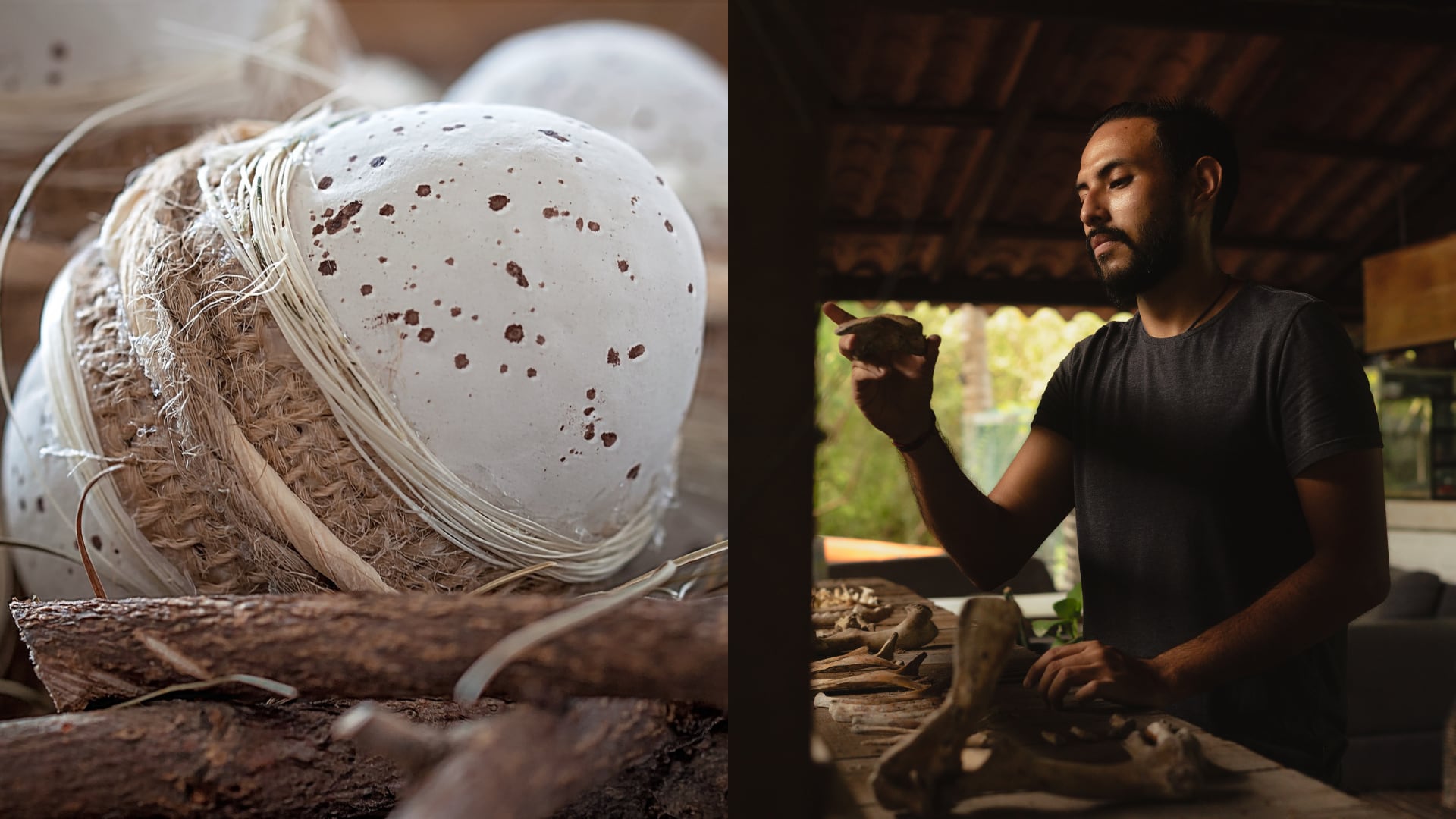 Fósil de aproximadamente 250 millones de años revela un dato clave. Los ancestros de mamíferos ponían huevos grandes para sobrevivir a las sequías extremas.