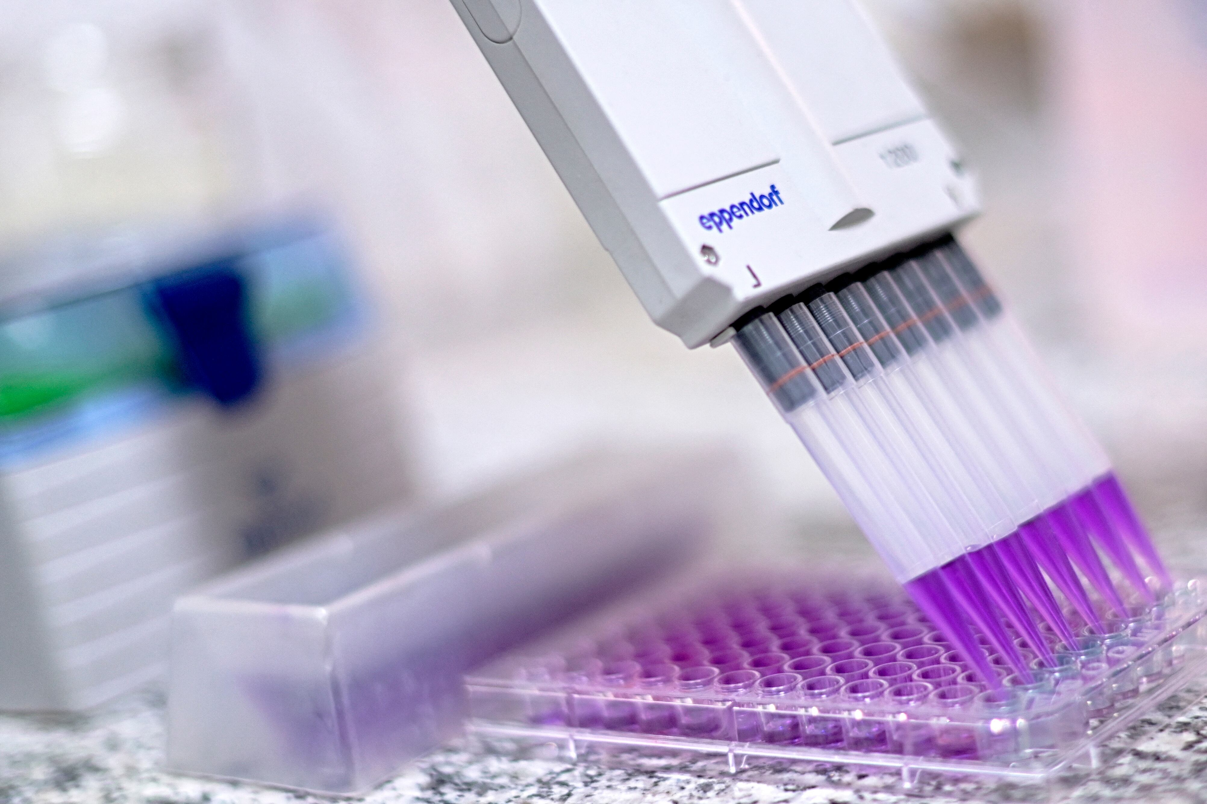 Inhibir los efectos adictivos de la cocaína o el crack para prolongar el abstinencia de los usuarios que luchan por dejar de fumar: este es el objetivo de "Calixcoca", una prometedora vacuna terapéutica desarrollada por científicos brasileños.