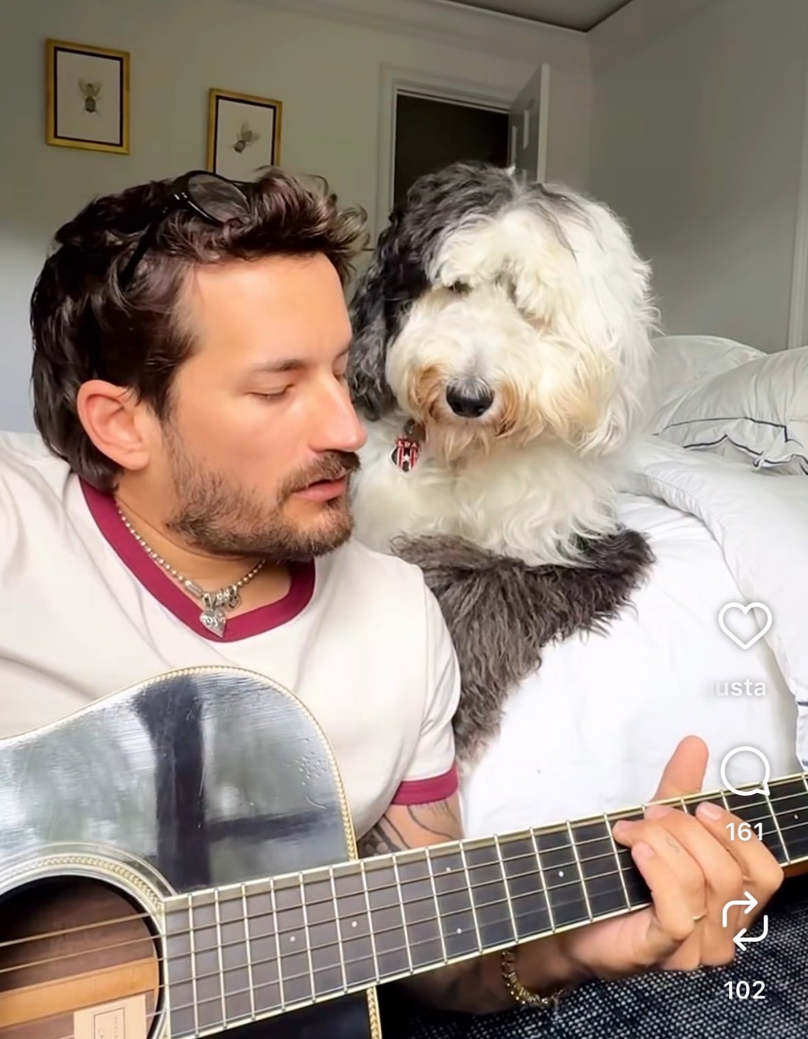 Mao, el hijo perruno de Ricky, lleva un detalle que le obsequió Liga Deportiva Alajuelense.