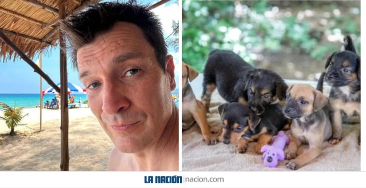 Nathan Fillion le contó a sus cientos de miles de seguidores sobre una fundación costarricense que ayuda a animales domésticos y silvestres, causando un impacto positivo en esta organización ubicada en Tamarindo, Guanacaste. Foto: Instagram