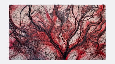 ‘Enraizada’, donde el miedo se desvanece: Una exposición de Alessandra Sequeira