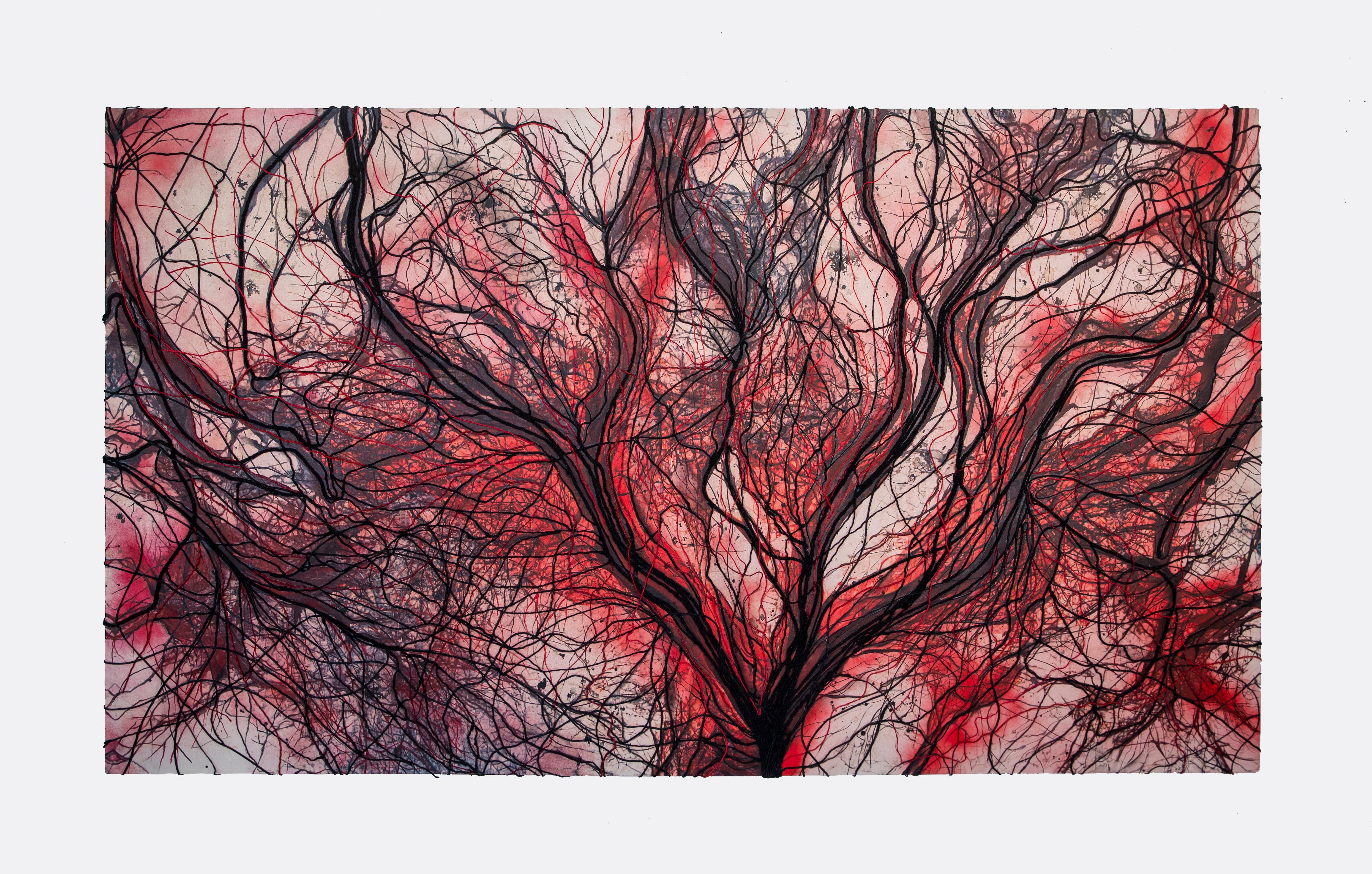 'EMDR VI', de Alessandra Sequeira, en el Museo Calderón Guardia.