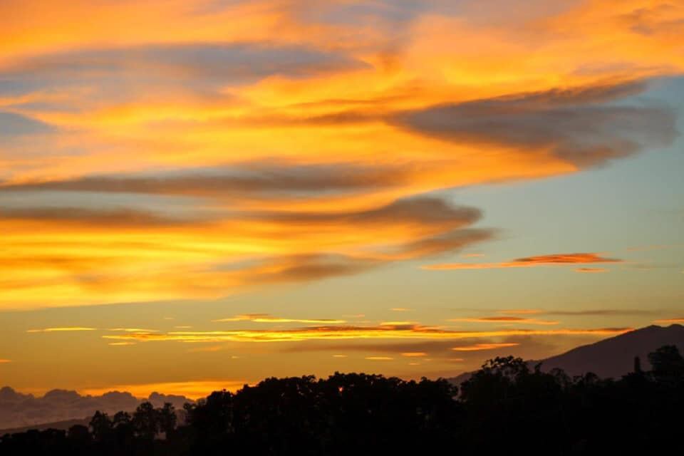 Doka Estate Coffee Tour se ubica en San Luis de Sabanilla de Alajuela. Foto: cortesía.