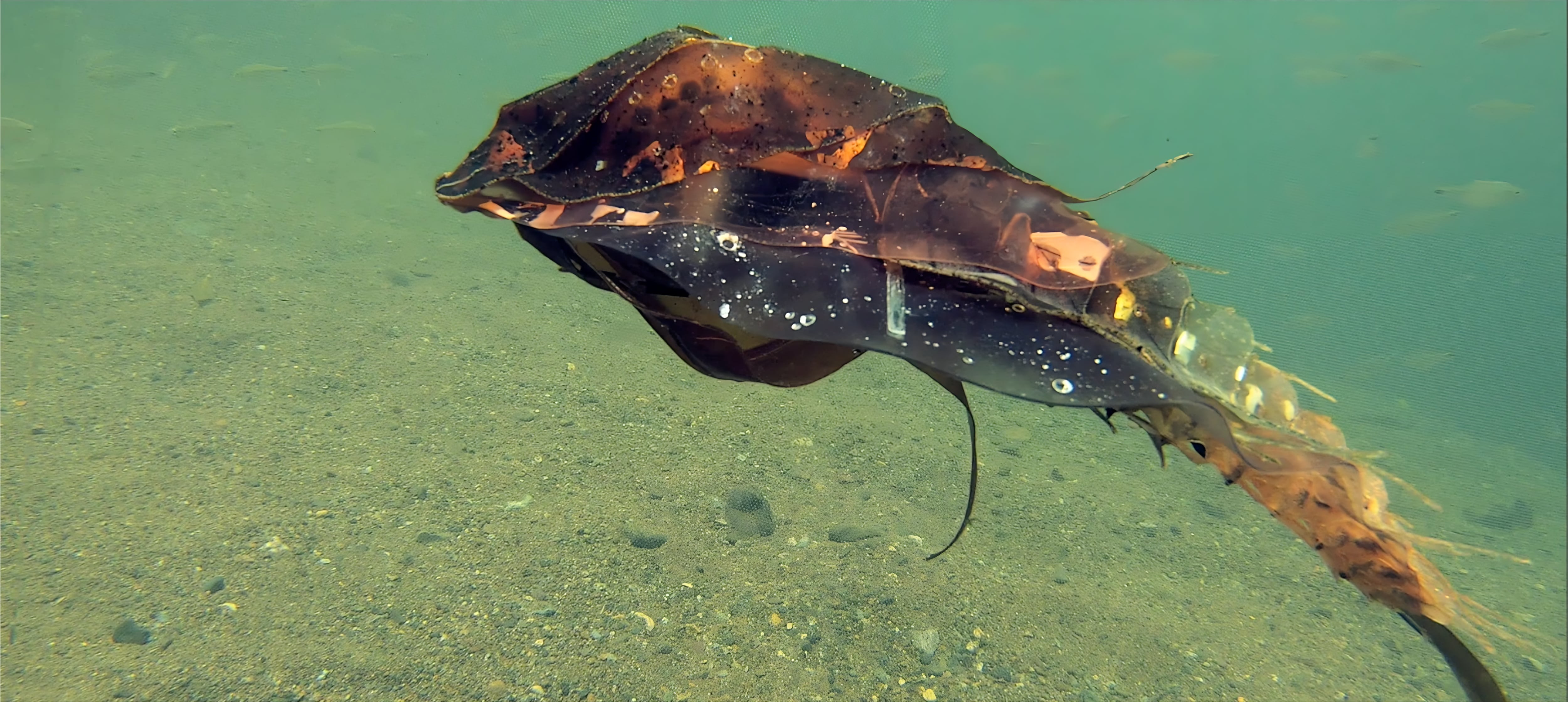 Escultura de Jonathan Torres en el río Machuca.