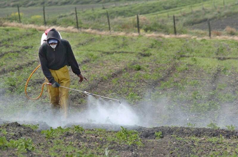 El uso y las formas de aplicación de los plaguicidas en Costa Rica es una tema de permanente discusión. En este momento, la Defensoría de los Habitantes tiene una ingestigación en trámite.