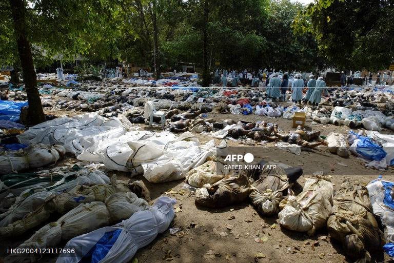 Expertos tailandeses y extranjeros toman muestras de ADN de los cadáveres en un templo de Takuapa. (Foto de Saeed KHAN / AFP)