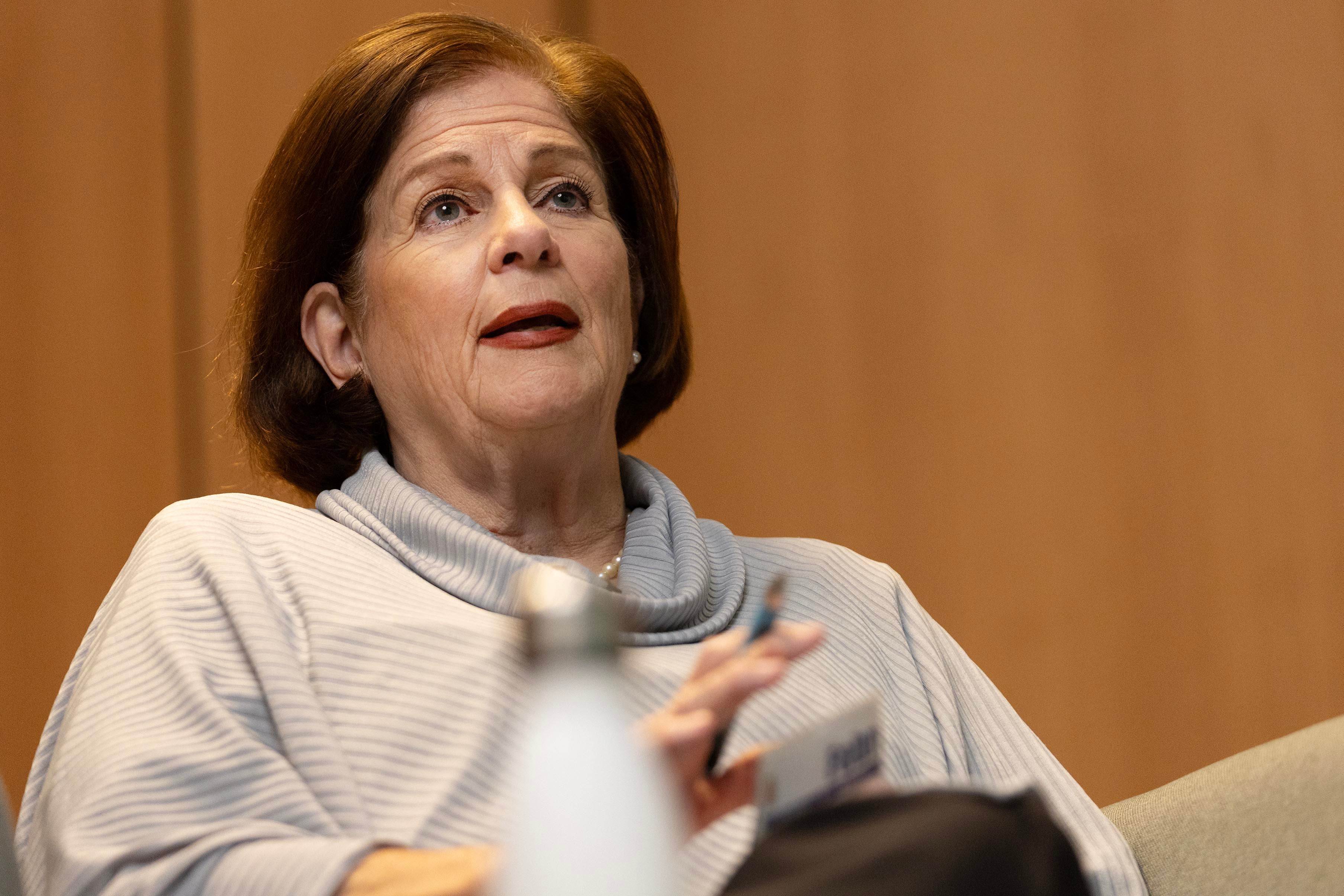 Diputada Pilar Cisneros