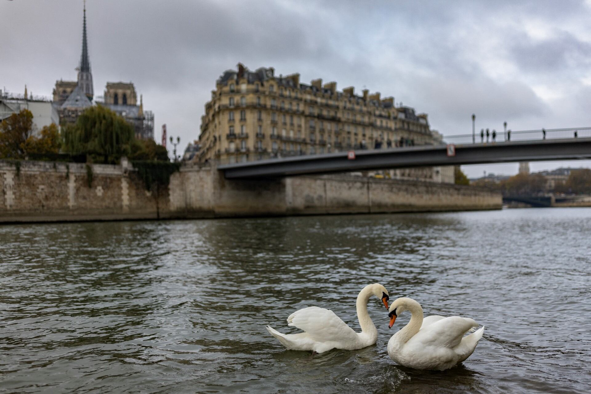Personas disfrutan del atardecer a orillas del río Sena en París, el 1 de mayo de 2025. Ese día, las temperaturas superaron los 29 °C en la capital francesa, batiendo el récord anterior de 28,7 °C registrado en 2005.
(Foto de Christophe DELATTRE / AFP)