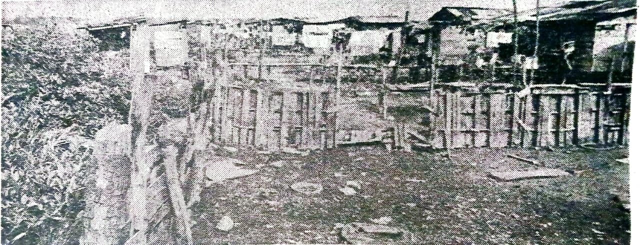 Vista parcial del barrio Cangrejal, de Puntarenas, ubicado detrás de las instalaciones de Fertica, en los manglares del estero.