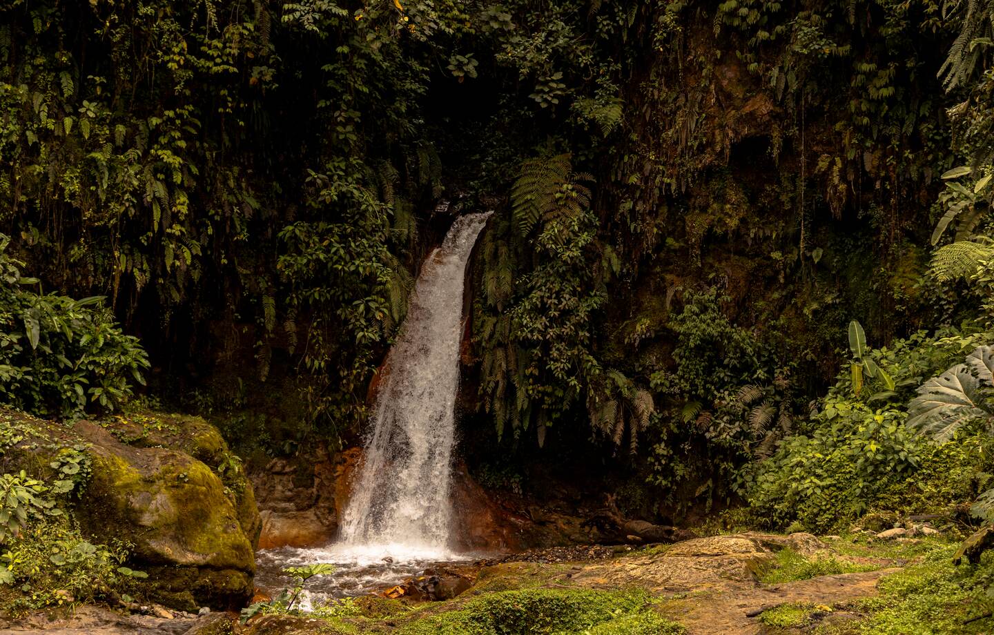 29/09/2022 ( NOTA MATERIAL EMBARGADO PARA LA REVISTA DOMINICAL HASTA SU PUBLICACION ) Senderismo en la reserva El Iral Bosque Nuboso en Cascajal de Coronado. Foto Alonso Tenorio