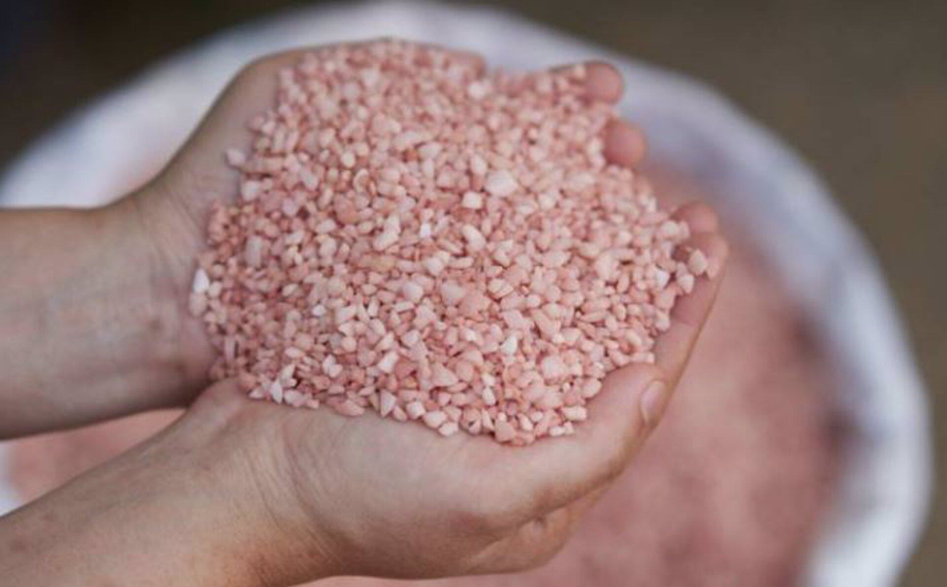 El potasio es un nutriente vital para el crecimiento de las plantas que ayuda con la fotosíntesis y la respiración, cuya falta puede inhibir el crecimiento de las plantas y reducir el rendimiento de los cultivos.