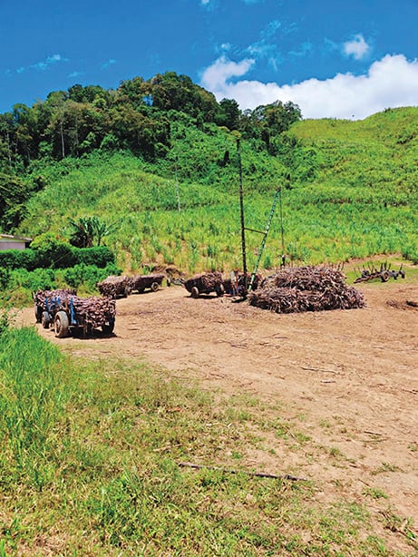 Camino Costa Rica