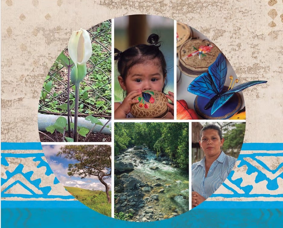 Plan Ambiental, Forestal y Territorial de Cabagra, territorio indígena bribri ubicado en el sur de Costa Rica