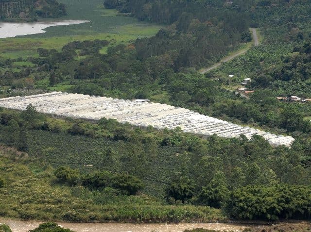 07-12-2010, recorrido por Cartago, Paraiso, y Orosi, la empresa Pelarica, esta acusada junto a la municipalidad de paraiso por contaminacion visual, el proceso judicial esta en proceso/iarauz